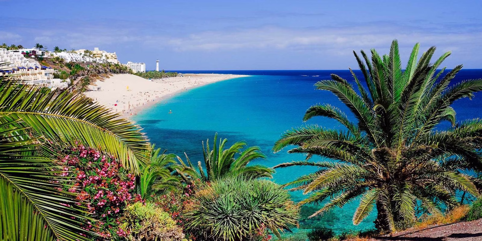 10 faits curieux sur Fuerteventura